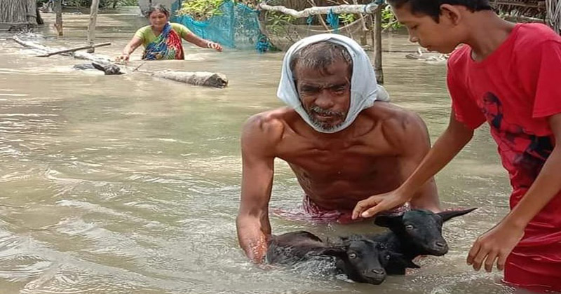 জলবায়ু পরিবর্তনে উপকূলীয় জীবনযাত্রায় বিরূপ প্রভাব