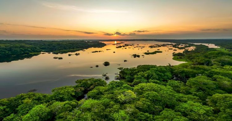 জলবায়ু লক্ষ্য পূরণে কার্বন ক্রেডিটের কথা ভাবছে ইইউ