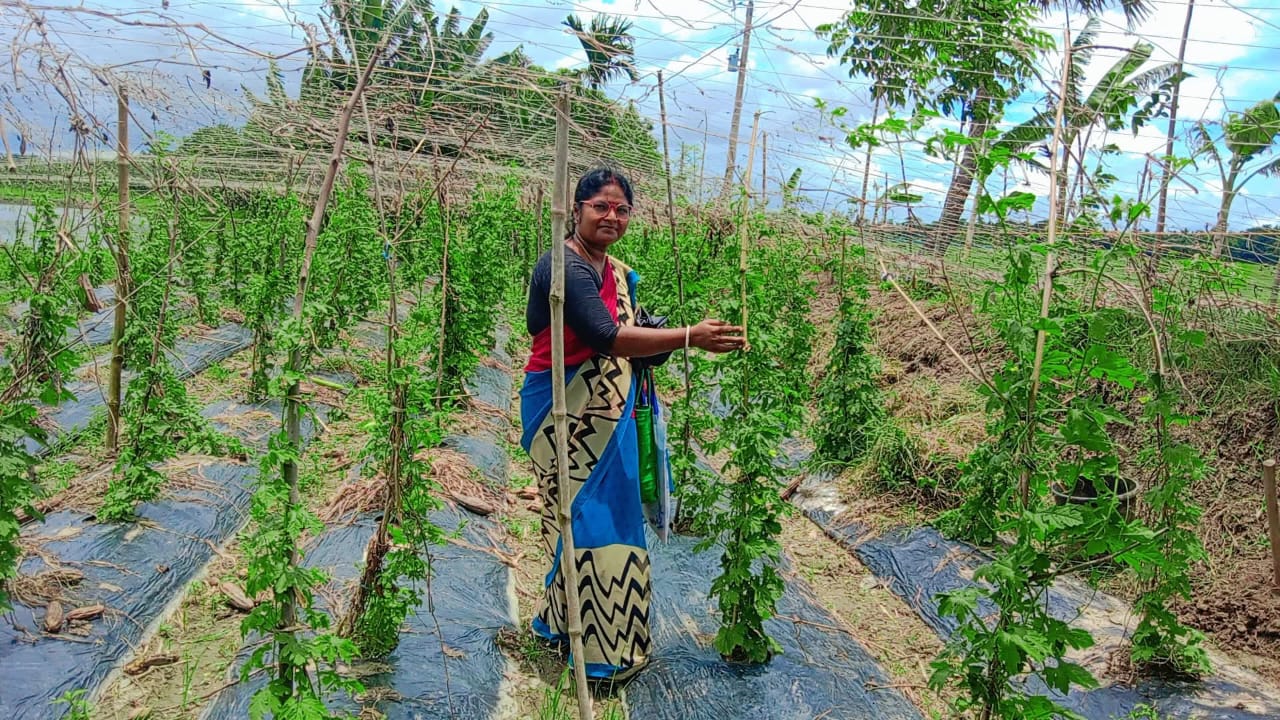 খুলনা কৃষি অঞ্চলের জলবায়ু অভিযোজন প্রকল্প দিচ্ছে নতুন দিশা