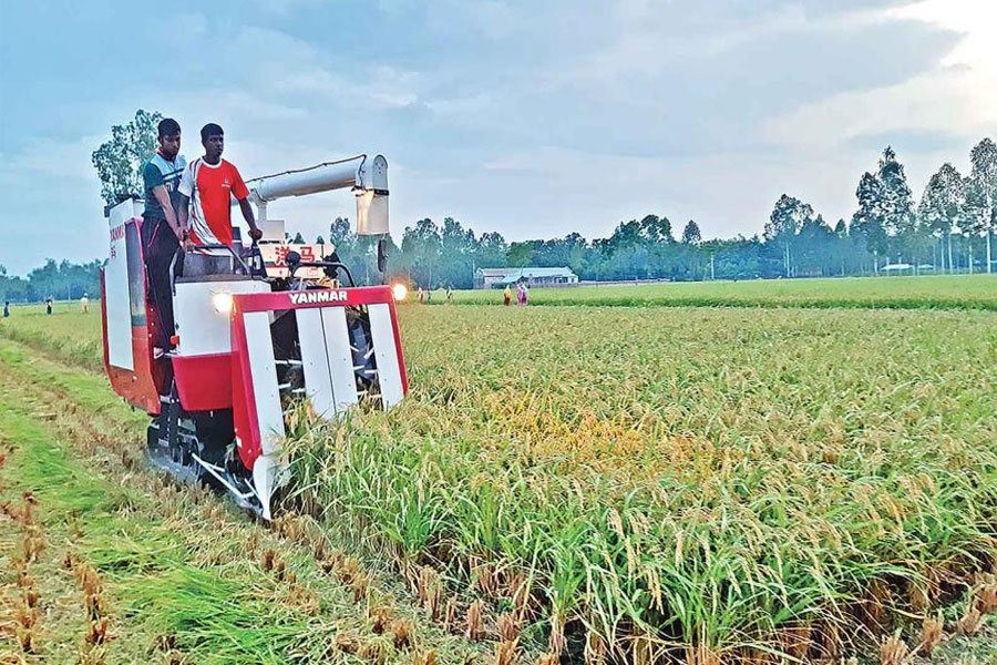 বাংলাদেশের জলবায়ু পরিবর্তনে অসাধারণ অর্জন