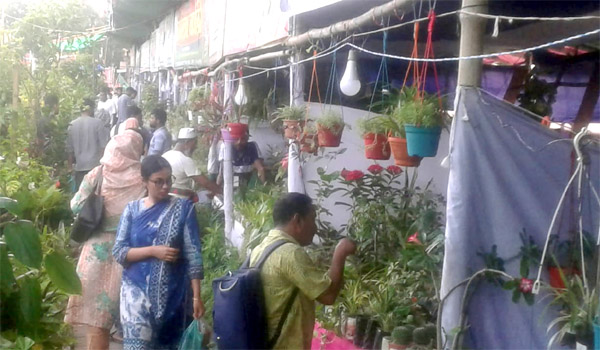 খুলনায় মাসব্যাপী বৃক্ষমেলায় এক কোটির অধিক টাকার চারা বিক্রি